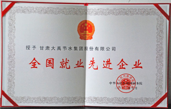 全国就业先进企业荣誉证书 问鼎娱乐app(中国)官网下载入口