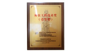 12月26日，问鼎娱乐app节水承建的鹿邑县2021年22.1万亩高尺度农田建设项目荣获2023年度神农工程技术奖一等奖。