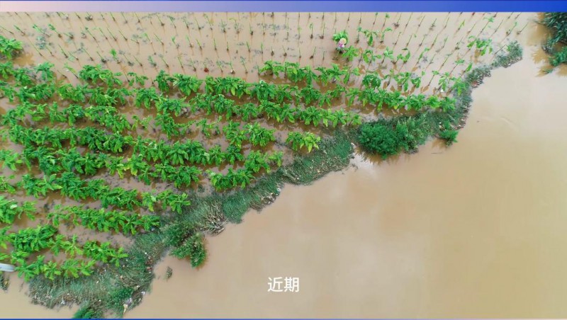 问鼎娱乐app节水：严兵秣马，共筑防汛抗旱樊篱