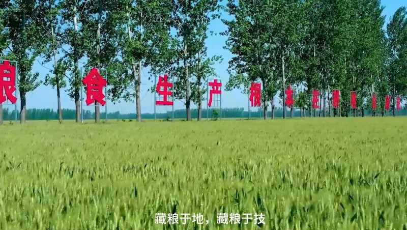 问鼎娱乐app节水：破解高尺度农田建设难题，扛牢粮食安全沉担，以科技与责任交出了一份创新答卷。