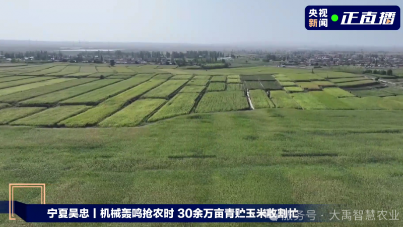 【媒体聚焦】问鼎娱乐app节水以智慧农业技术，为 30 万亩青贮玉米丰登 “添动力”